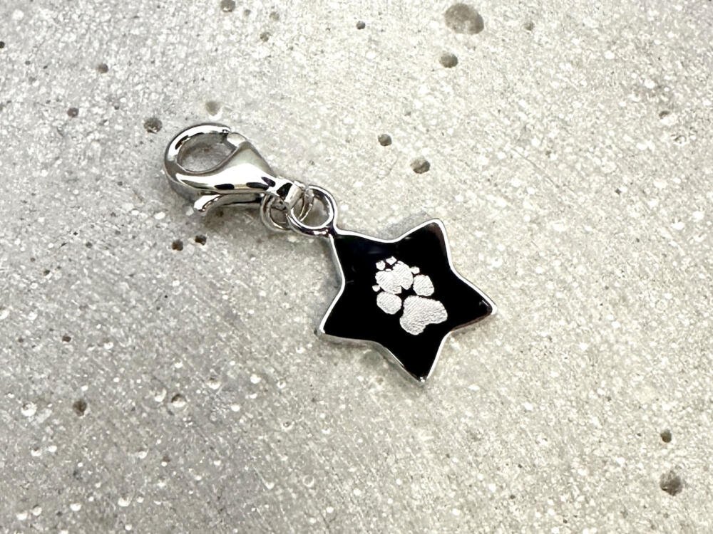 Charm Stern mit Pfotengravur, Kleiner Stern Anhänger Karabiner, Tierliebe, Pfotengravur