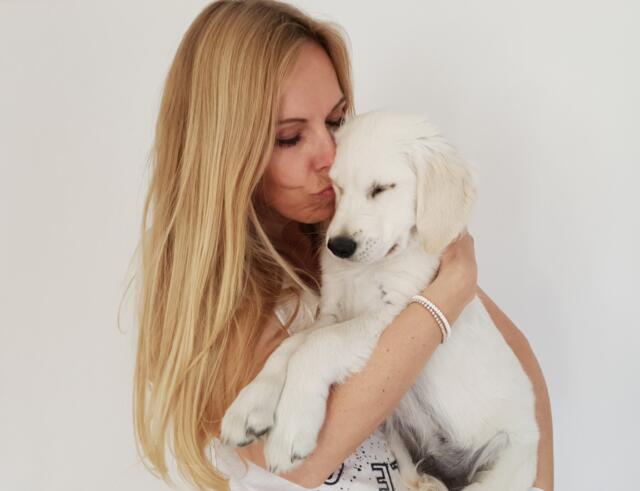 Weihnachtsgeschenk für das Haustier